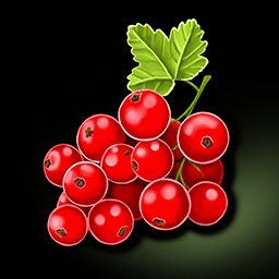 Redcurrant food icon